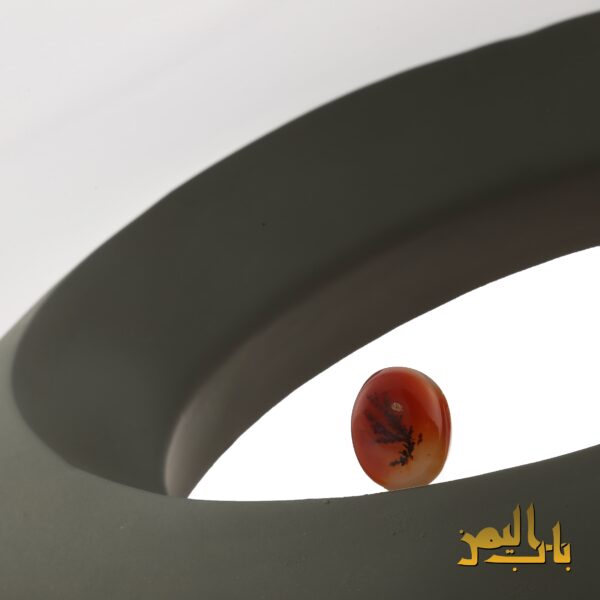 عقیق شجر یمنی (زعفرانی)