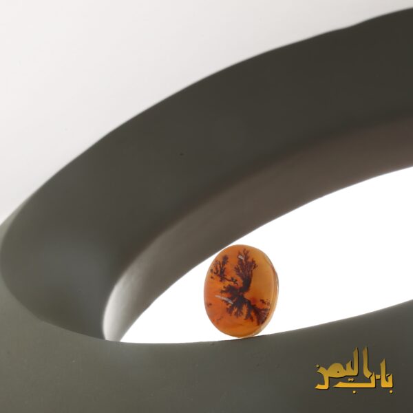 عقیق شجر یمنی (زعفرانی)